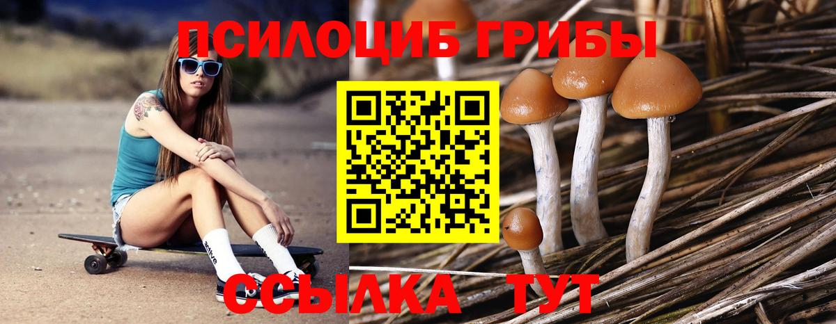 Псилоцибиновые грибы Cubensis  Вход с VPN  Клин  дарнет шоп  Псилоцибиновые грибы ЛСД 