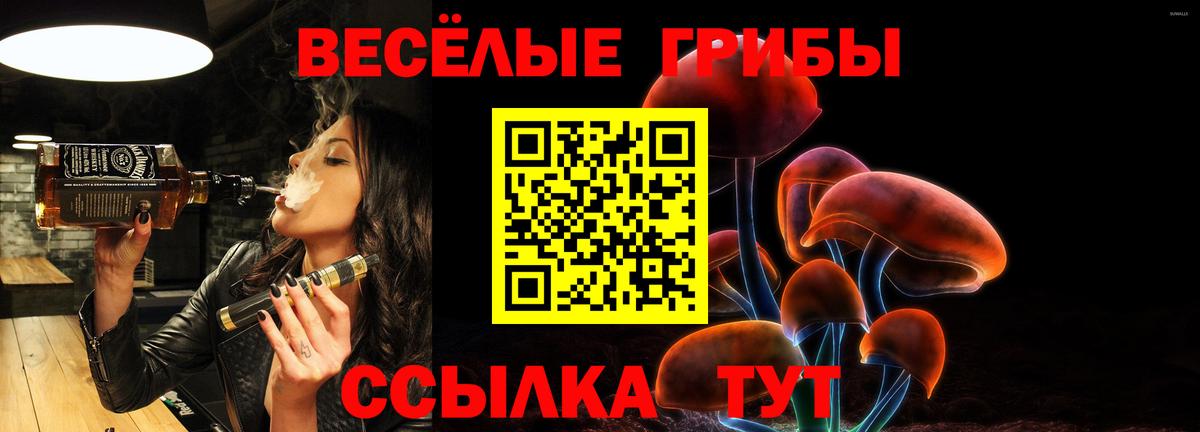 Псилоцибиновые грибы Psilocybe Клин